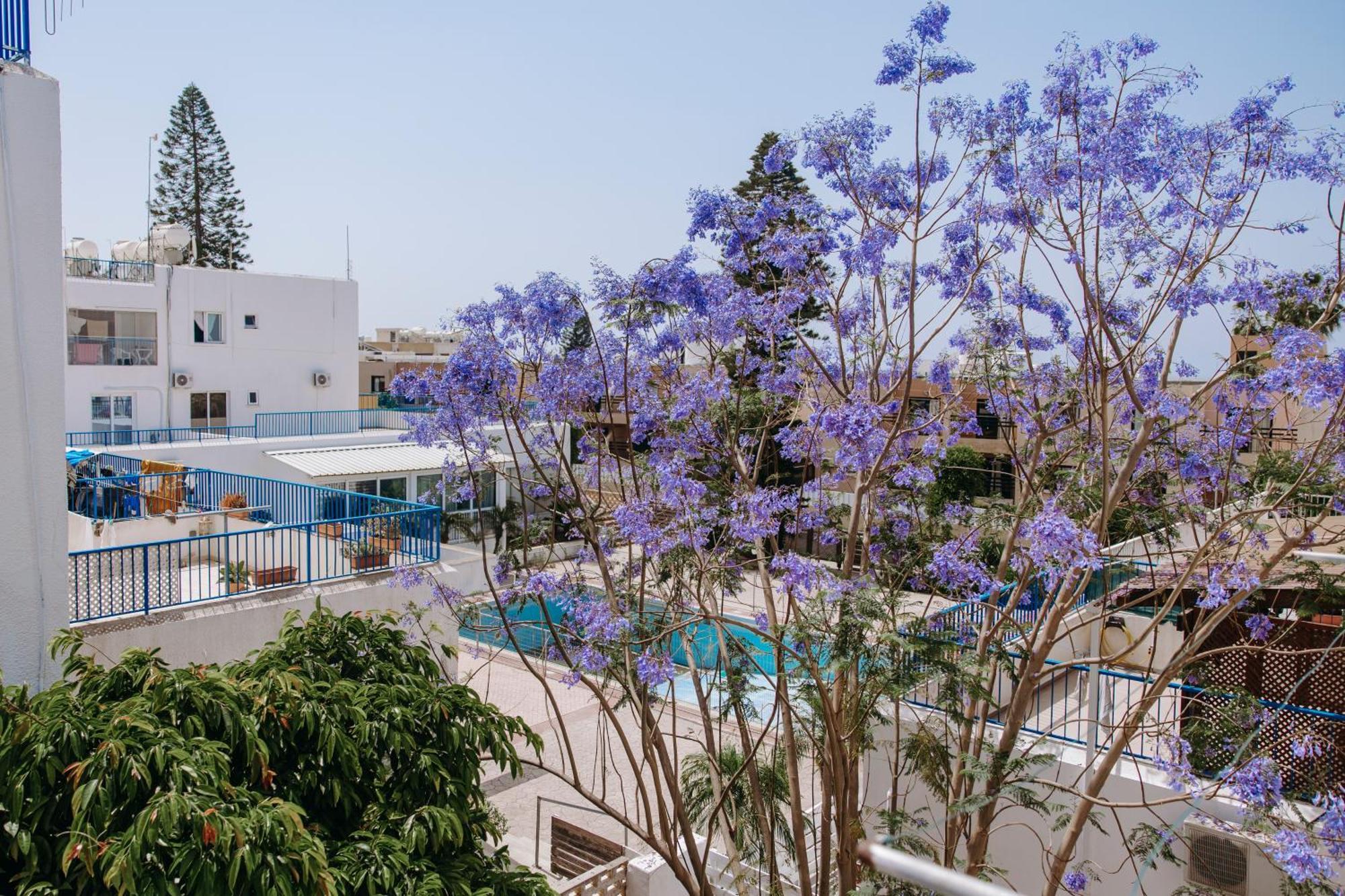 Apartamento Viking Family Superior Lux Ayia Napa Exterior foto